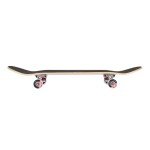 Element Popsicle Skateboard - Blazin 31" Complete Board