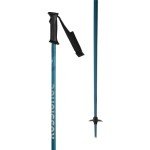 Rossignol Tactic Lightweight Alpine Ski Poles
