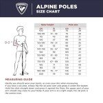 Rossignol Tactic Lightweight Alpine Ski Poles