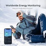 Renogy ONE Core: Off-Grid Energy Monitor Panel