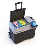 ACOPOWER&LiONCooler Pro PX40 Portable Car Freezer, 42Qt Solar Battery Cooler with APP Control and Strong Compressor, -4℉-68℉ 12V Refrigerator for Outdoor, Backyard, RV, Boat