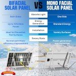 ECO-WORTHY Bifacial 100 Watt 12 Volt Solar Panel Monocrystalline Rigid High-Efficiency PV Module Power Charger for Sunsheds, Canopies, RVs, Farms and Other Off-Grid Applications