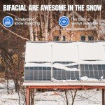 ECO-WORTHY Bifacial 100 Watt 12 Volt Solar Panel Monocrystalline Rigid High-Efficiency PV Module Power Charger for Sunsheds, Canopies, RVs, Farms and Other Off-Grid Applications