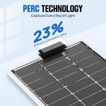 ECO-WORTHY Bifacial 100 Watt 12 Volt Solar Panel Monocrystalline Rigid High-Efficiency PV Module Power Charger for Sunsheds, Canopies, RVs, Farms and Other Off-Grid Applications