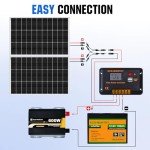 ECO-WORTHY 200 Watt 12V Complete Solar Panel Starter Kit for RV Off Grid with Battery and Inverter: 2pcs 100W Solar Panel + 30A Charge Controller + 100Ah Lithium Battery + 600W Premium Solar Inverter