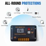 ECO-WORTHY 200 Watt 12V Complete Solar Panel Starter Kit for RV Off Grid with Battery and Inverter: 2pcs 100W Solar Panel + 30A Charge Controller + 100Ah Lithium Battery + 600W Premium Solar Inverter