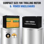 ECO-WORTHY 1.6KWH Complete Solar Panel Kit 400W 12V for RV Home Off Grid Yard: 195W Solar Panels*2 + 1000W Solar Inverter+12V 100Ah Lithium Battery+ 40A MPPT Charge Controller + Bluetooth Module