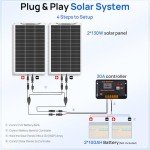 ECO-WORTHY 260Watt 12Volt Flexible Solar Panel Kit for Off Grid Home RV, Boat and Uneven Surfaces:2pcs 130W Mono Solar Panel + 30A 12V Charger Controller + Solar Cable + Tray Cable + Y Branch