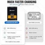 ECO-WORTHY 3.58KWH 800W Solar Panel Kit System for Home House: 4pcs Bifacial 195W Solar Panels + 1pc 2000W Solar Inverter + 1pc 60A MPPT Controller + 1pc 12V 280Ah Lithium Battery