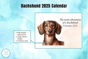 2025 Dachshund Adventures Watercolor Wall Calendar: Exquisite Artwork for Dog Lovers