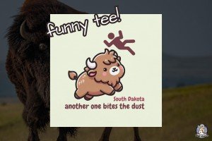South Dakota Bison Buffalo Fun Toss Tee