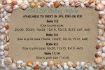 Serene Beach Dunes Sea Oats Printable Wall Art – Coastal Elegance for Home Decor - Makes a Perfect Gift For Nature Lovers & Art Enthusiasts