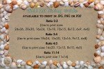 Shell Yeah, Seaside Serenity - Coastal Beach Sunset Wall Art for Home or Office Decor