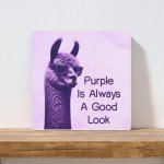 Chic Purple Llama Canvas Print | Modern Home Decor | Stylish Wall Art for Bedroom and Living Room, 8x8, 5x7