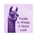 Chic Purple Llama Canvas Print | Modern Home Decor | Stylish Wall Art for Bedroom and Living Room, 8x8, 5x7
