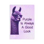 Chic Purple Llama Canvas Print | Modern Home Decor | Stylish Wall Art for Bedroom and Living Room, 8x8, 5x7