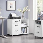 Mobile Lateral Filing Cabinet and Printer Stand