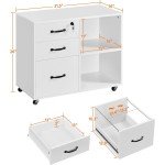 Mobile Lateral Filing Cabinet and Printer Stand