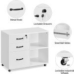 Mobile Lateral Filing Cabinet and Printer Stand