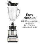 Hamilton Beach Blender with 14 Functions, Stainless Steel