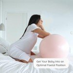 BABYGO® Peanut Ball for Pregnancy and Labor Support