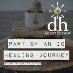 Desert Harvest Aloe Glide Organic Lubricant 8 oz