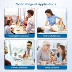 Life-Size Female Pelvis and Spine Anatomy Model