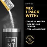 LMNT Sugar-Free Electrolyte Drink Mix - Variety Pack