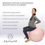 Pregnancy and Labor Birthing Ball - Anti-Burst Design