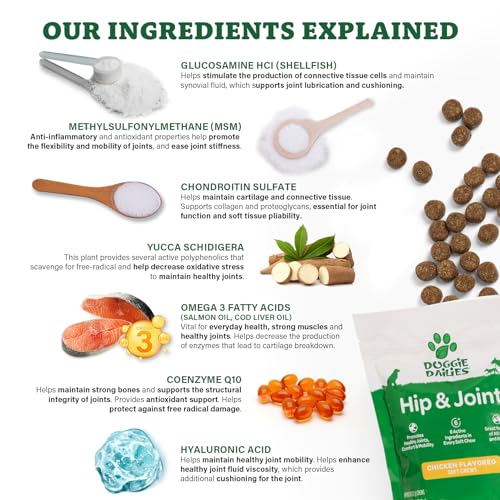 Premium Dog Joint Supplement with 120 Chews