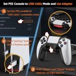 IWGAME Wireless Controller for PlayStation 5 & PC