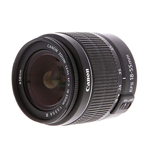 Canon EOS 2000D (Rebel T7) DSLR Camera w/Canon EF-S 18-55mm F/3.5-5.6 Zoom Lens + Case + 128GB Memory (28pc Bundle)