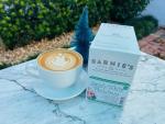 Barnie's DECAF Santa's White Christmas Coffee 24 ct