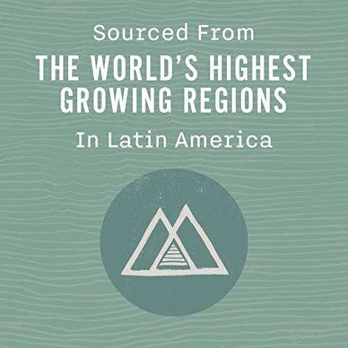 Allegro Coffee Extra Dark French Whole Bean - 12 oz