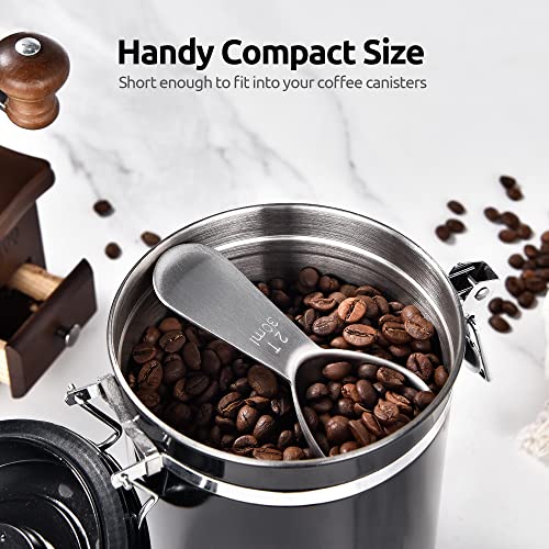 U-Taste Stainless Steel Coffee Scoop: 2 Tablespoon