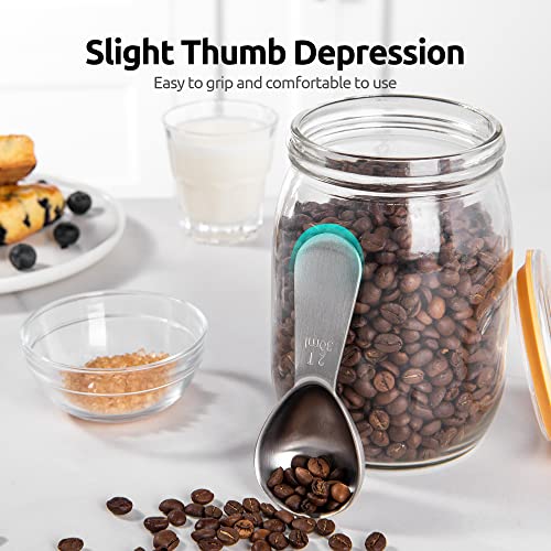U-Taste Stainless Steel Coffee Scoop: 2 Tablespoon