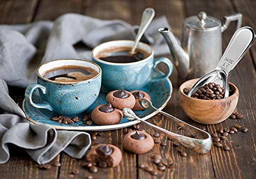 Xducom Stainless Steel Coffee Scoop Set