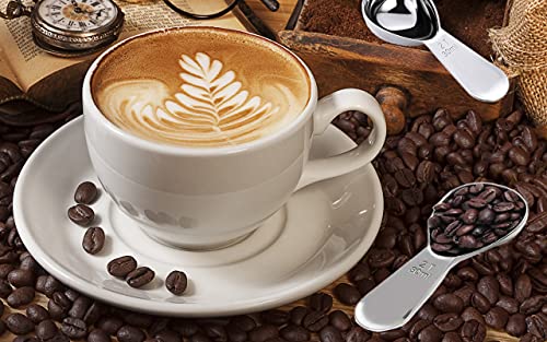 Xducom Stainless Steel Coffee Scoop Set