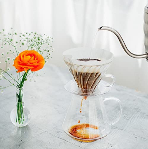 Hario Glass V60 Pour Over Set with Glass Server