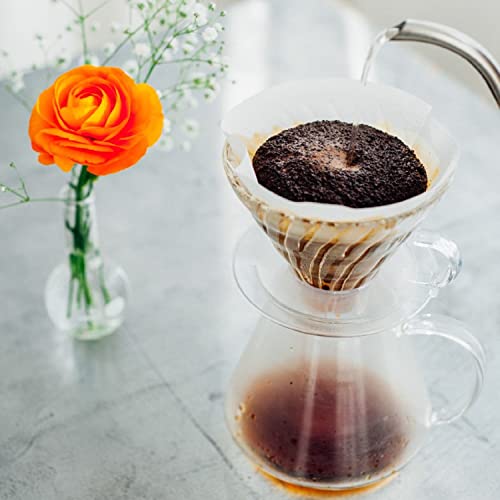 Hario Glass V60 Pour Over Set with Glass Server