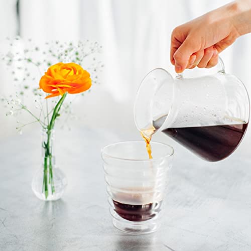 Hario Glass V60 Pour Over Set with Glass Server