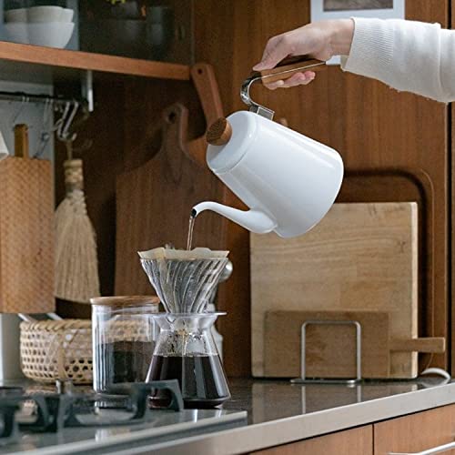 Hario Glass V60 Pour Over Set with Glass Server