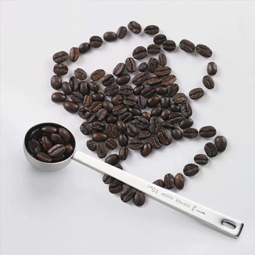 IZELOKAY Stainless Steel Coffee Scoop, 1 Table Spoon