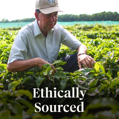 Starbucks Peppermint Mocha Limited Edition Ground Coffee