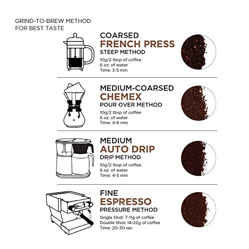 AmazonFresh Dark Roast Whole Bean Coffee, 32oz