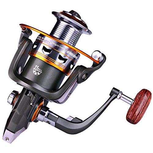Sougayilang Spinning Reel: Smooth 11BB for All Fishing
