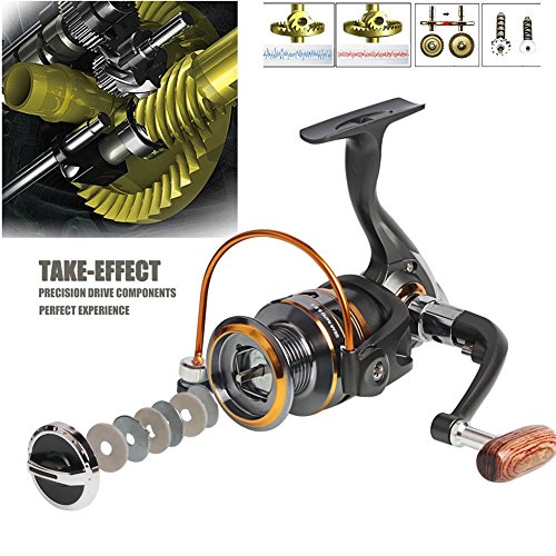 Sougayilang Spinning Reel: Smooth 11BB for All Fishing