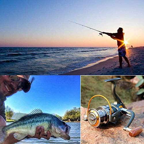 Sougayilang Spinning Reel: Smooth 11BB for All Fishing