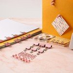 DANRONG 97 PCS Office Supplies for Women, Paper Clips, Binder Clips and Push Pins Set, Paperclips Thumb Tacks School and Home Desk Supplies, Desk Organized (Pink)