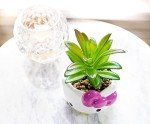 Silver Buffalo Sanrio Hello Kitty Face 3-Inch Ceramic Mini Planter with Artificial Succulent